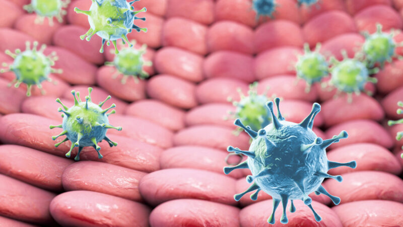 Attualità sui virus oncogeni e la immunoterapia dei tumori