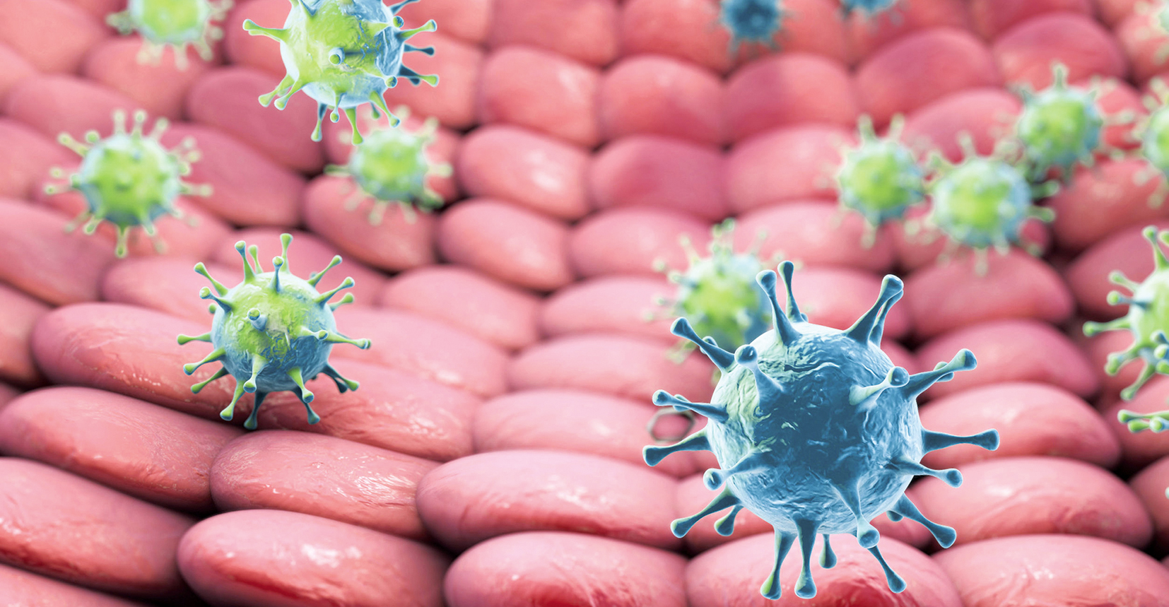 Attualità sui virus oncogeni e la immunoterapia dei tumori